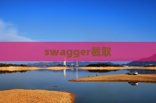 swagger截取